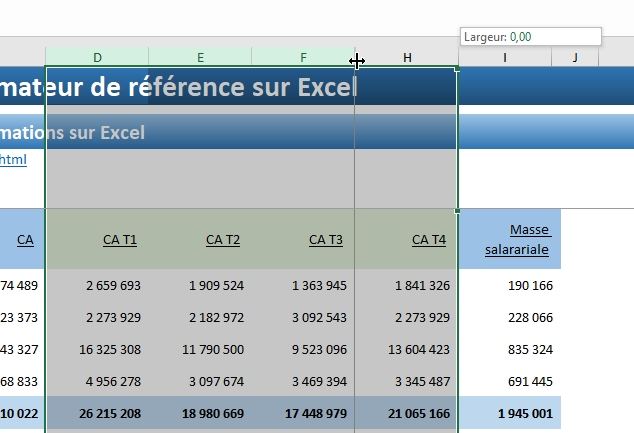 Comment masquer ou afficher des cellules dans Excel Apprendre Excel pour les débutants Excel