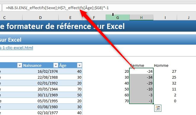 Excel formation - pyramide des âges - 06