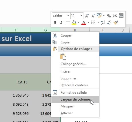 Comment Masquer Ou Afficher Des Cellules Dans Excel Apprendre Excel