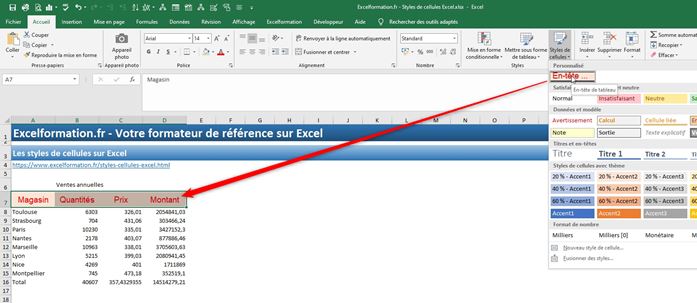 Utiliser Les Styles De Cellules Dexcel Pour Gagner Du Temps Excel Formation 9354