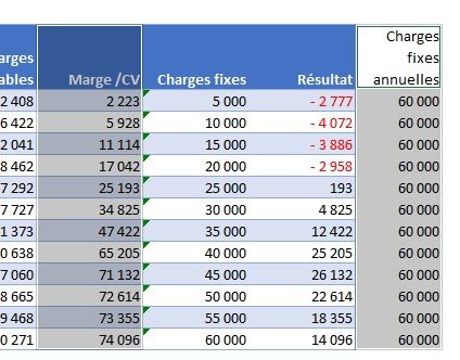 Calculer Le Seuil De Rentabilité Sur Excel (Bonus : Représentation ...