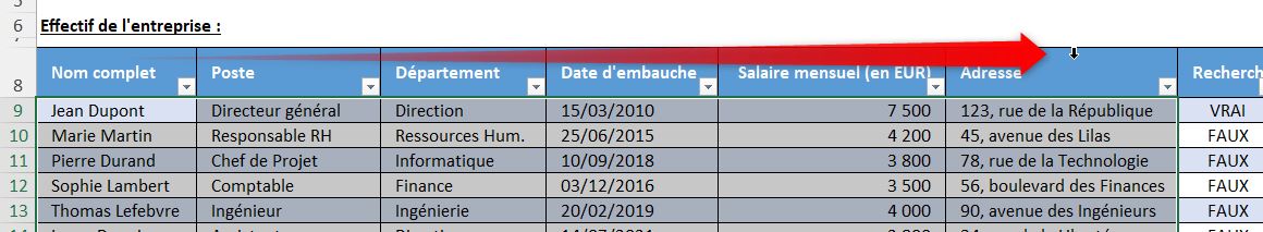 Excel formation - recherche en temps réel - 10