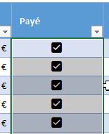 Excel formation - 0041-case à cocher - 05