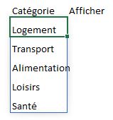Excel formation - 0041-case à cocher - 12