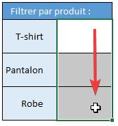Excel formation - 0089-filtreCaseExcel - 03