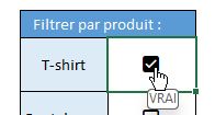 Excel formation - 0089-filtreCaseExcel - 06