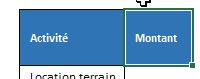 Excel formation - 0113-analyseRapide - 11